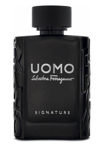 Uomo Salvatore Ferragamo Signature for men - Eau De Parfum - 100ml (7146133815492)